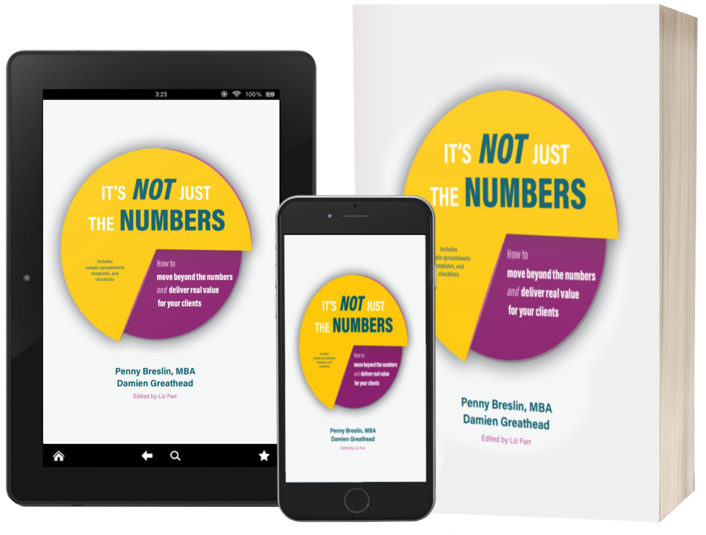 Money Penny LLC - Accounting Services - New Book: It’s NOT Just the Numbers